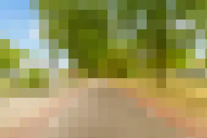 Kluisstraat 15 Boekel thumbnail 38