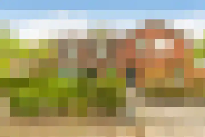 Kluisstraat 15 Boekel thumbnail 4