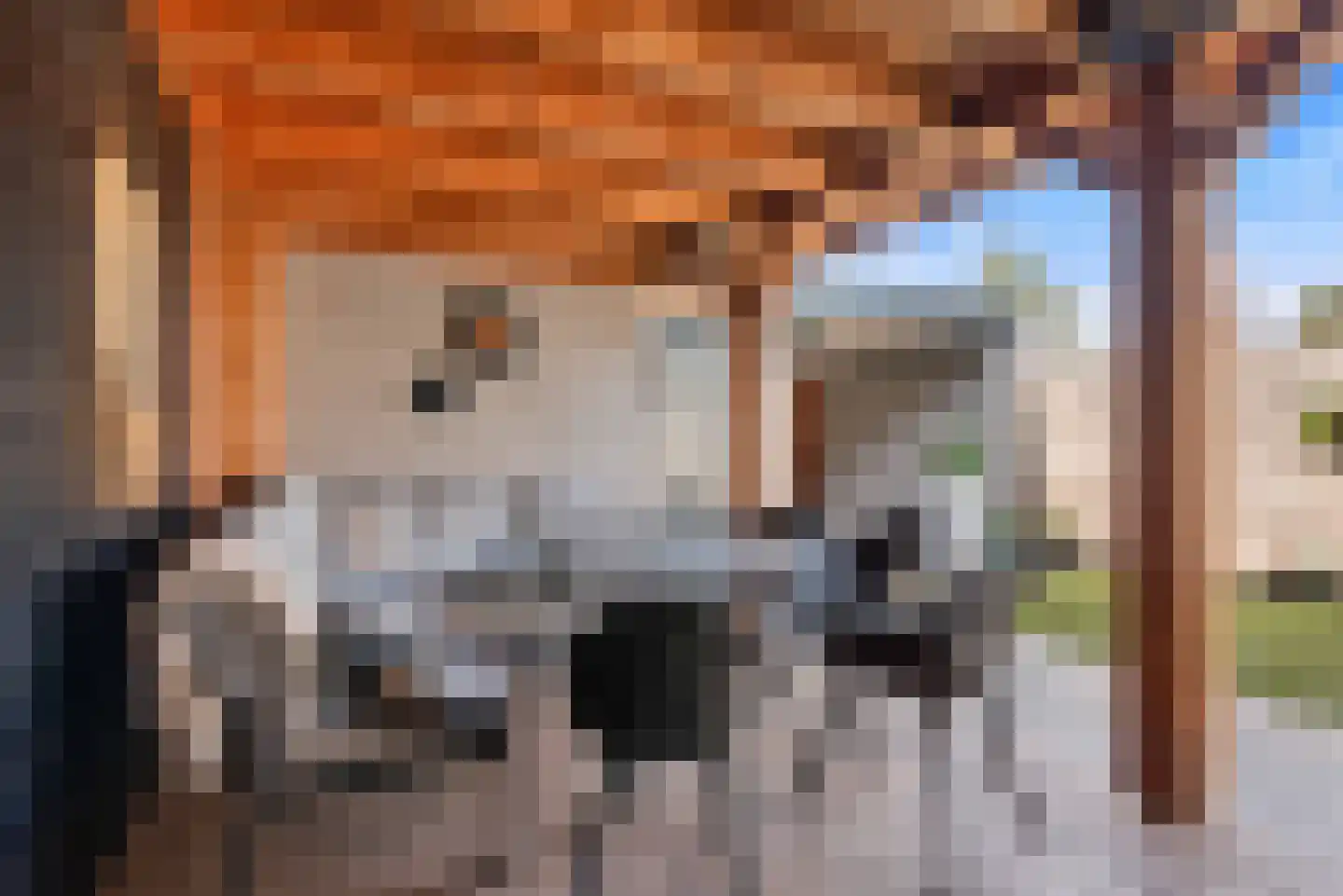 Kluisstraat 20 Schijndel thumbnail 42