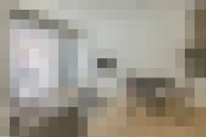 Kluisstraat 3 B Helmond thumbnail 12