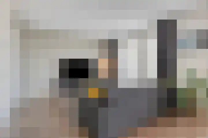 Kluisstraat 31 Schijndel thumbnail 10
