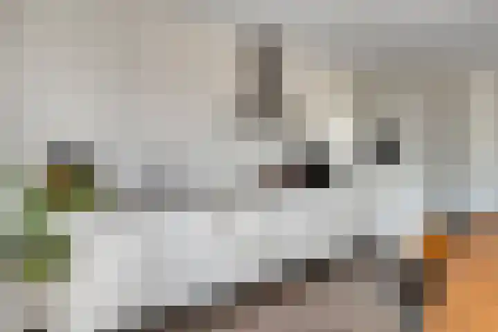 Kluisstraat 31 Schijndel thumbnail 4