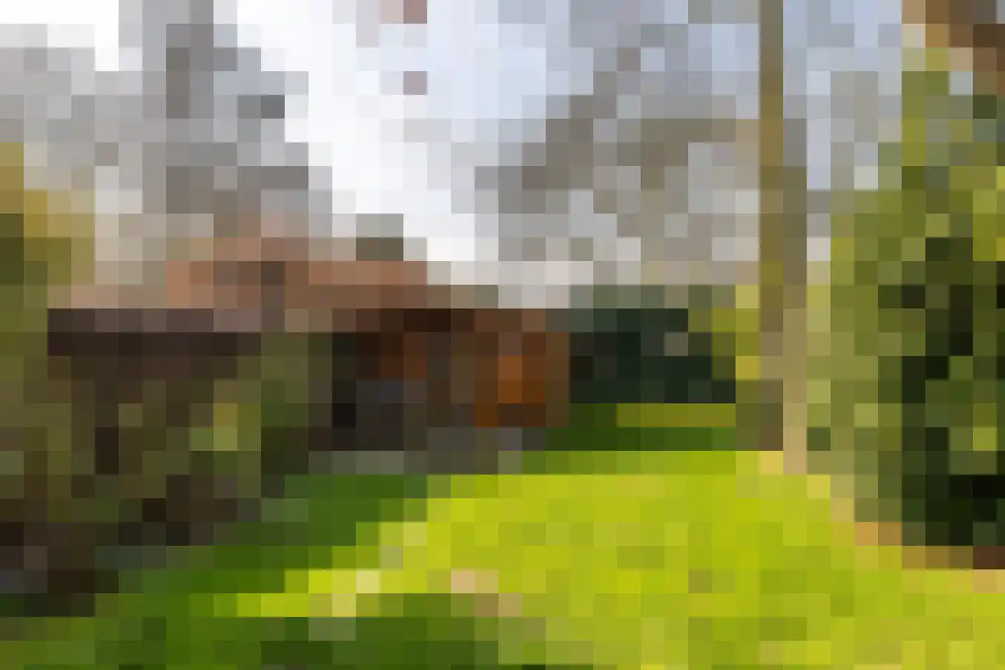 Kluisstraat 44 Doenrade thumbnail 27