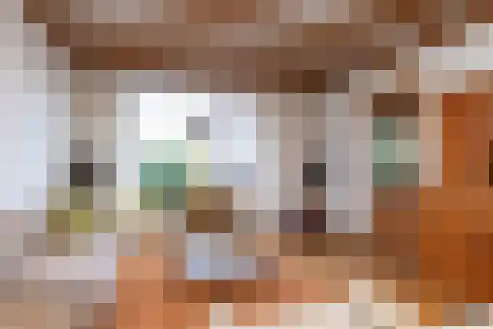 Kluisstraat 52 Doenrade thumbnail 8