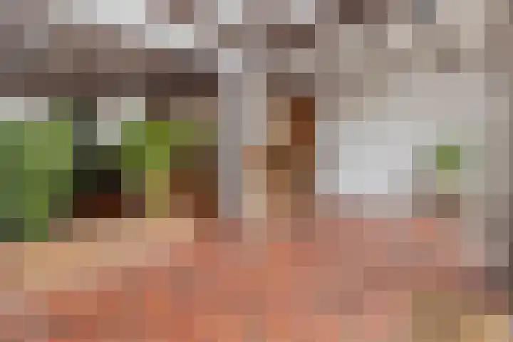 Kluisstraat 66 Doenrade thumbnail 15