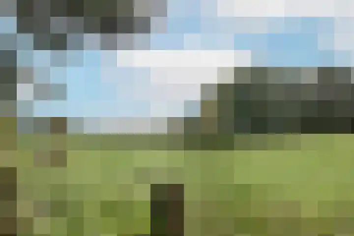 Kluisstraat 66 Doenrade thumbnail 36