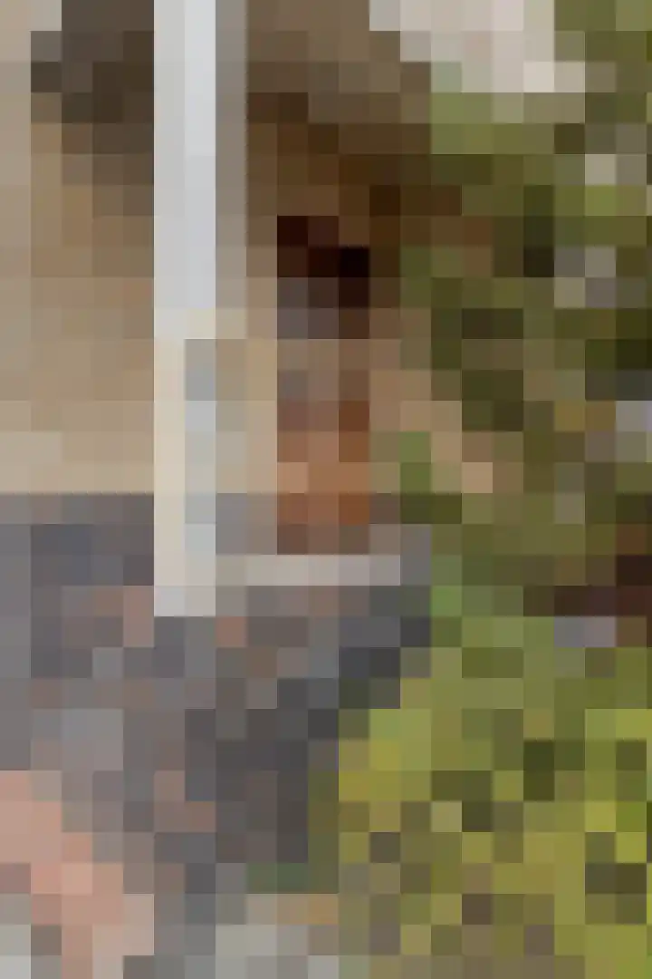 Kluisstraat 66 Doenrade thumbnail 8
