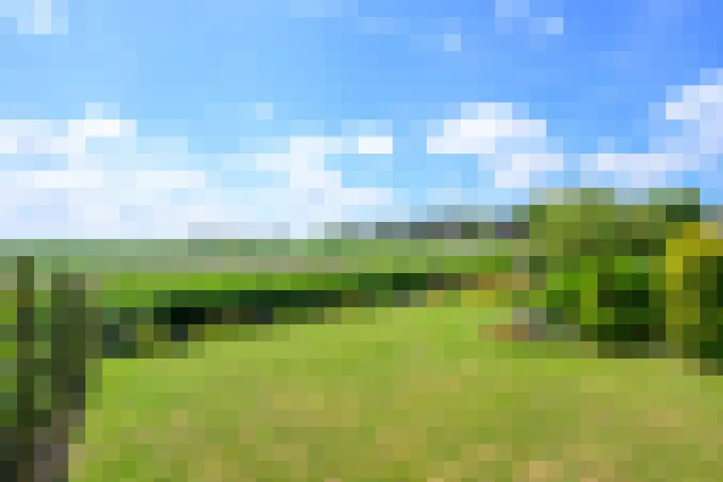 Kluiten 31 Opperdoes thumbnail 20