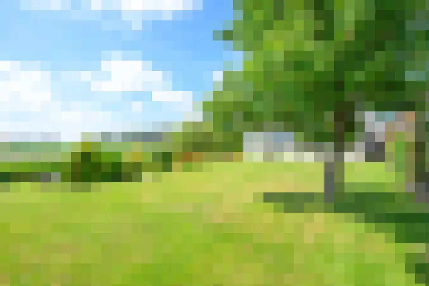Kluiten 31 Opperdoes thumbnail 21