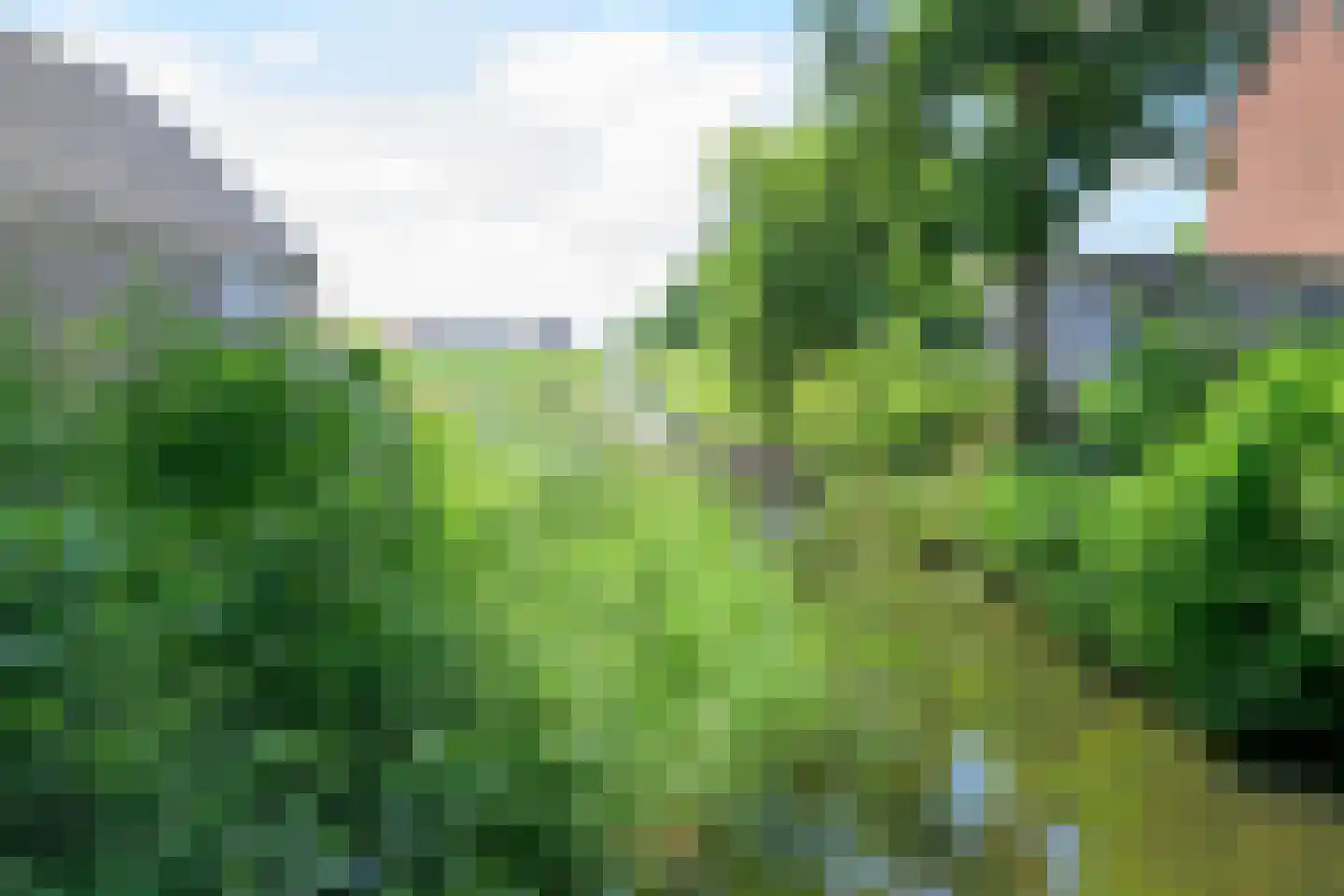 Kluiten 31 Opperdoes thumbnail 24