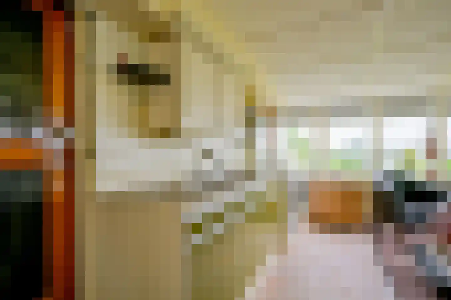 Kluiten 31 Opperdoes thumbnail 45