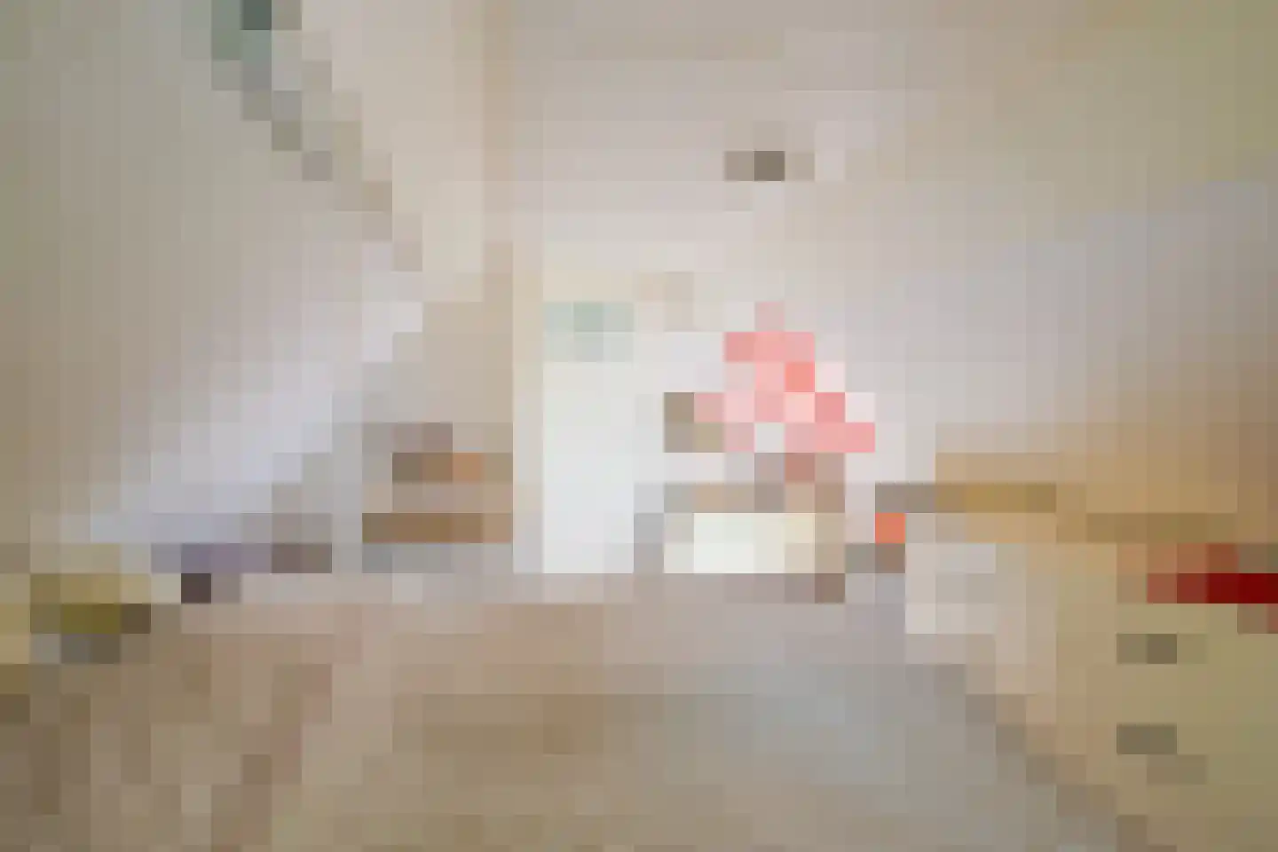 Kluiten 31 Opperdoes thumbnail 50