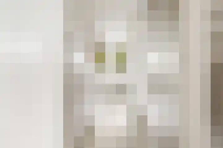 Kluitkamp 19 Vianen thumbnail 22
