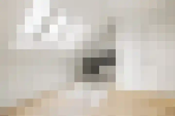 Kluitkamp 19 Vianen thumbnail 34