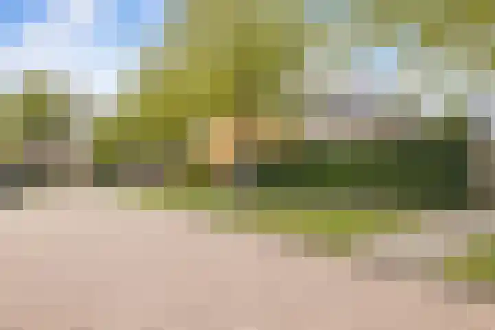 Kluitkamp 19 Vianen thumbnail 45