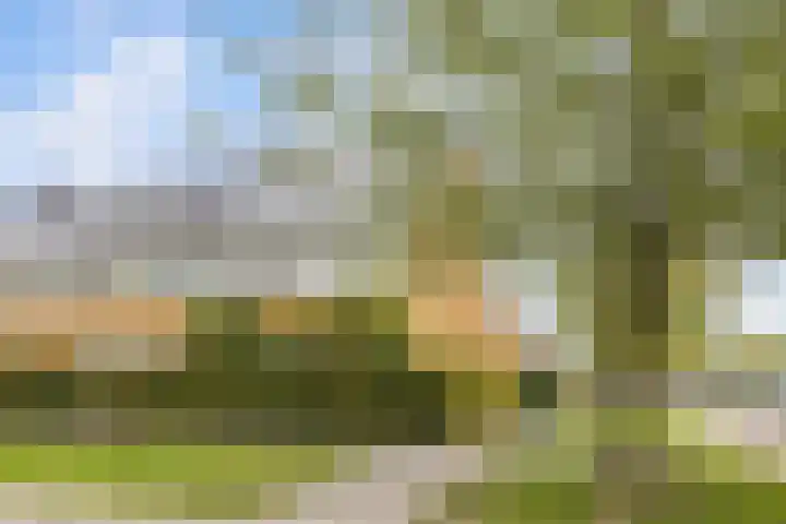 Kluitkamp 19 Vianen thumbnail 47