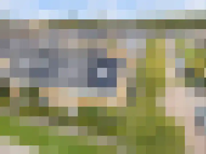 Kluitkamp 19 Vianen thumbnail 49