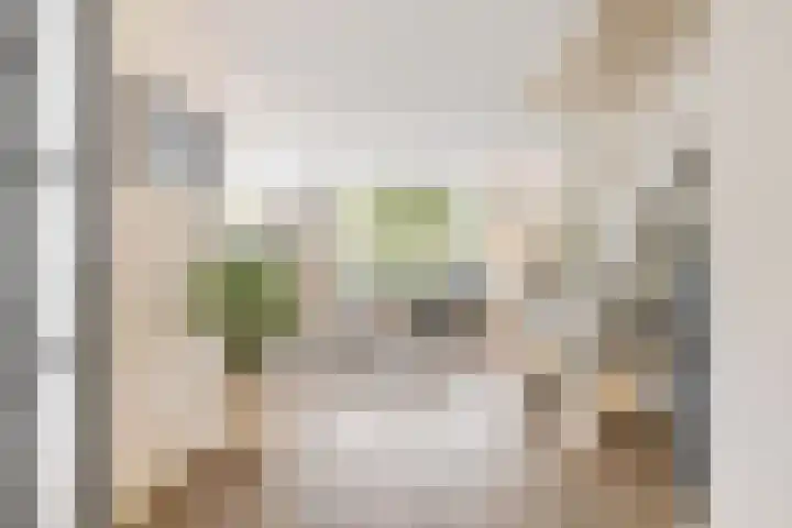 Kluitkamp 19 Vianen thumbnail 5