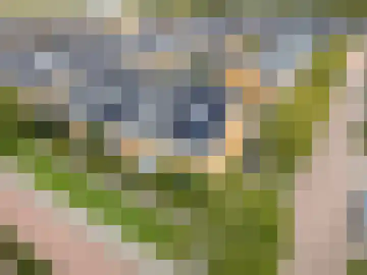 Kluitkamp 19 Vianen thumbnail 51