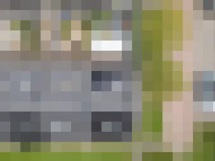 Kluitkamp 19 Vianen thumbnail 52