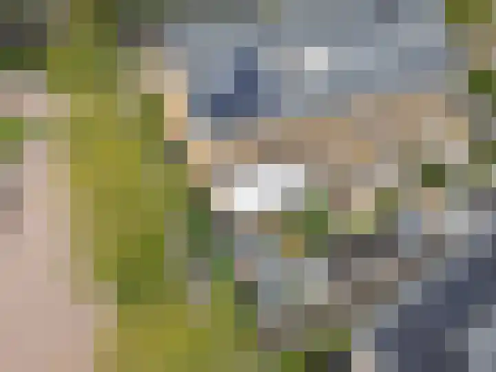 Kluitkamp 19 Vianen thumbnail 54