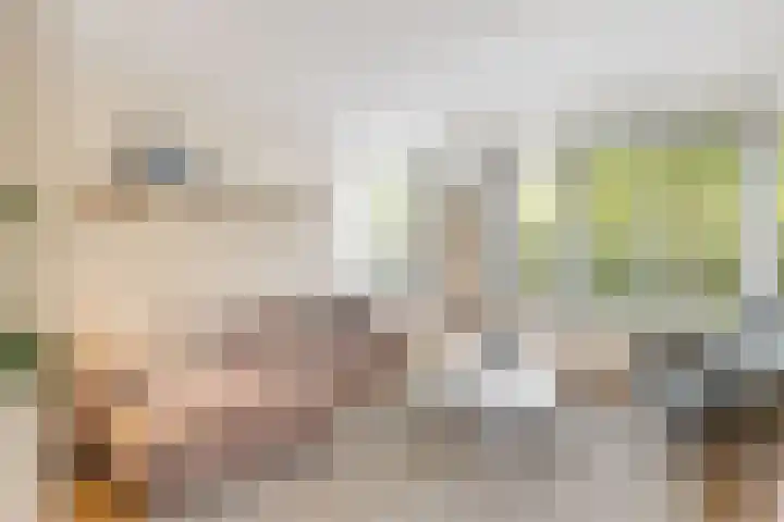 Kluitkamp 19 Vianen thumbnail 6