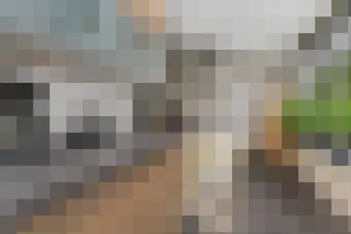 Kluitmanstraat 4 Gouda thumbnail 6
