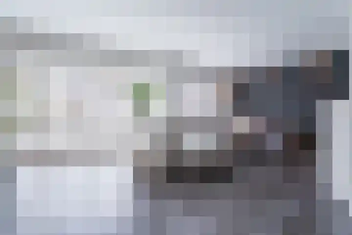 Kluivertweg 55 Hekelingen thumbnail 15