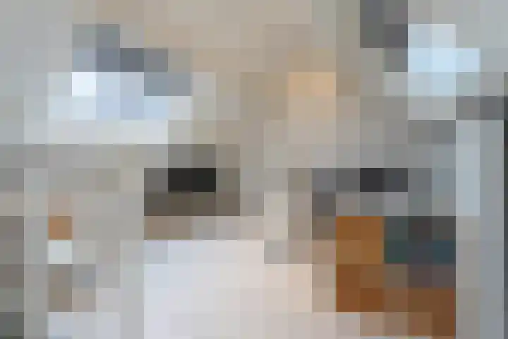Kluivertweg 55 Hekelingen thumbnail 32