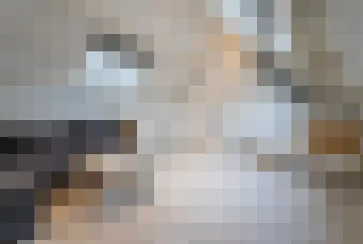 Kluivertweg 55 Hekelingen thumbnail 33