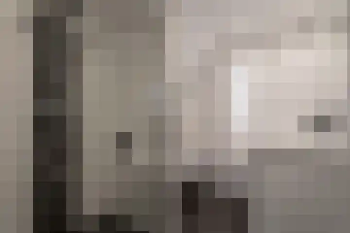Kluivertweg 55 Hekelingen thumbnail 4