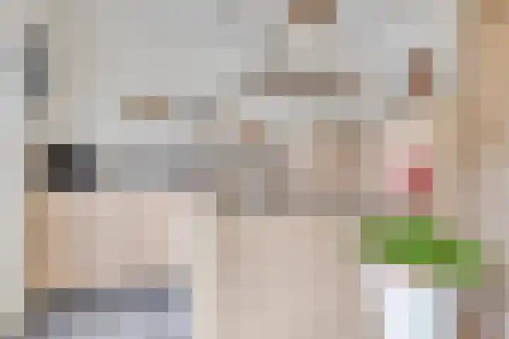 Kluizenaarstraat 18 Eindhoven thumbnail 15