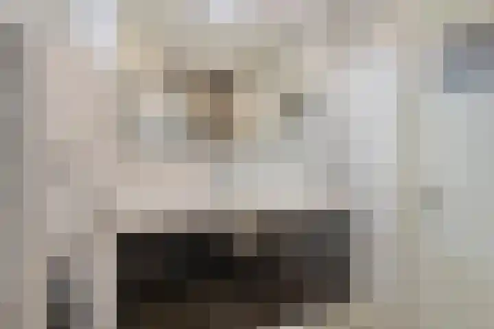 Kluizenaarstraat 18 Eindhoven thumbnail 22