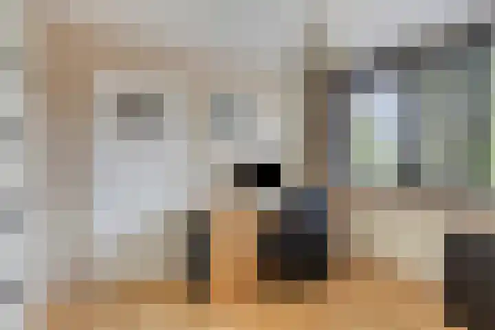 Kluizenaarstraat 18 Eindhoven thumbnail 26
