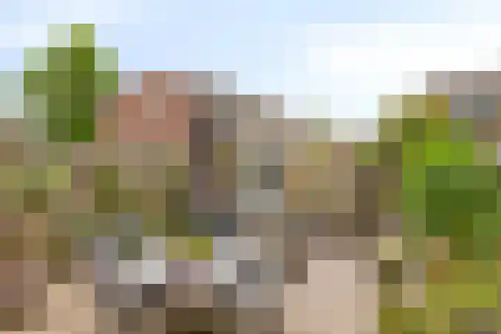 Kluizenaarstraat 18 Eindhoven thumbnail 32