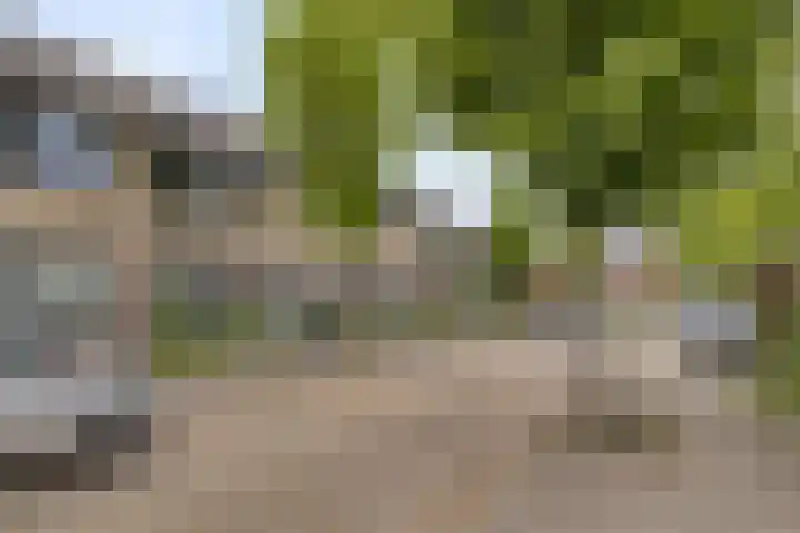 Kluizenaarstraat 18 Eindhoven thumbnail 33