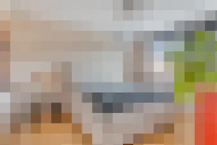 Kluizenaarstraat 18 Eindhoven thumbnail 5