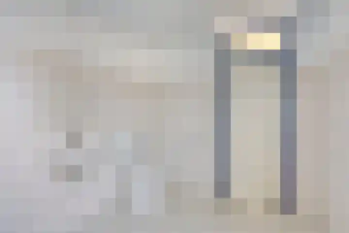 Kluizenaarstraat 49 Eindhoven thumbnail 23