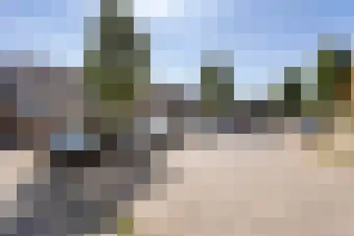 Kluizenaarstraat 49 Eindhoven thumbnail 37