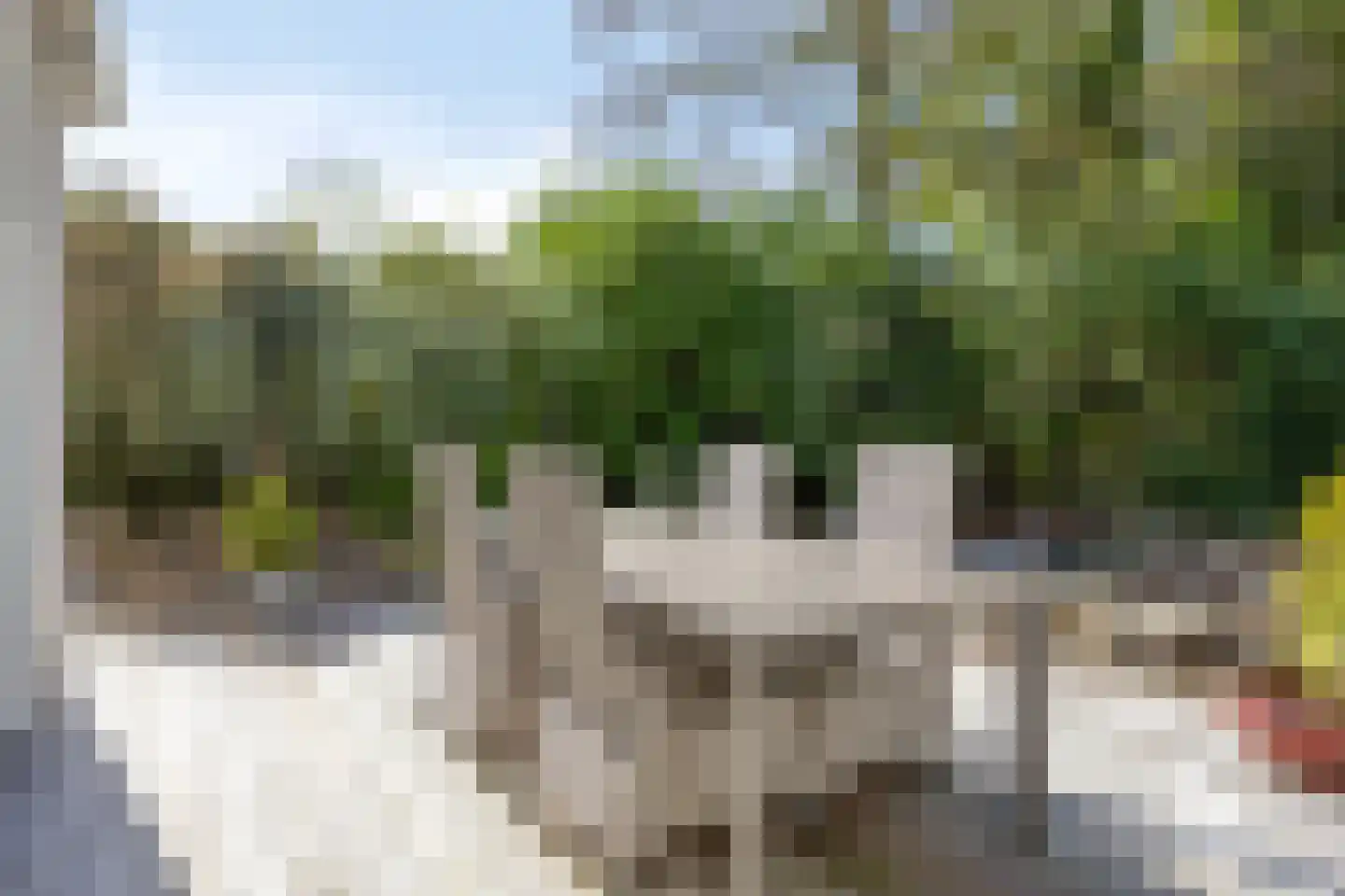 Kluizerdijk 21 Valkenswaard thumbnail 28