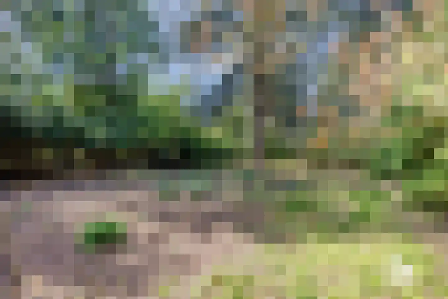 Kluizerdijk 21 Valkenswaard thumbnail 31