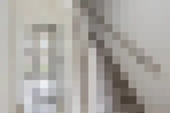 Klumperkamp 33 Epse thumbnail 15