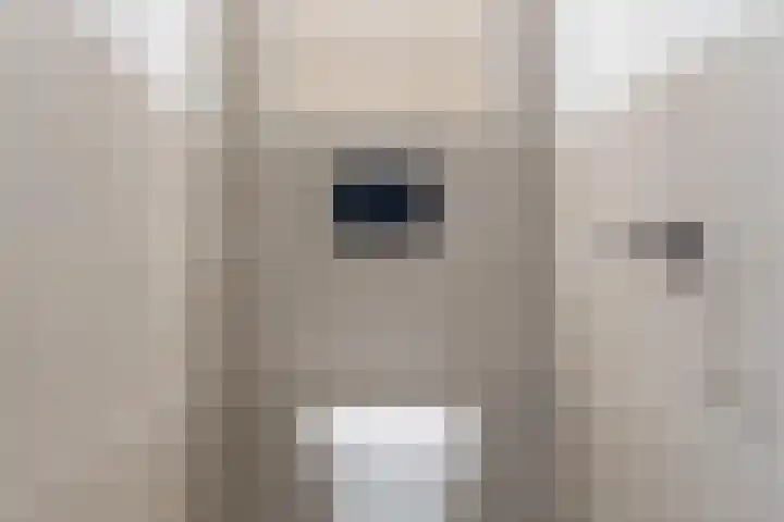 Klumperkamp 33 Epse thumbnail 17
