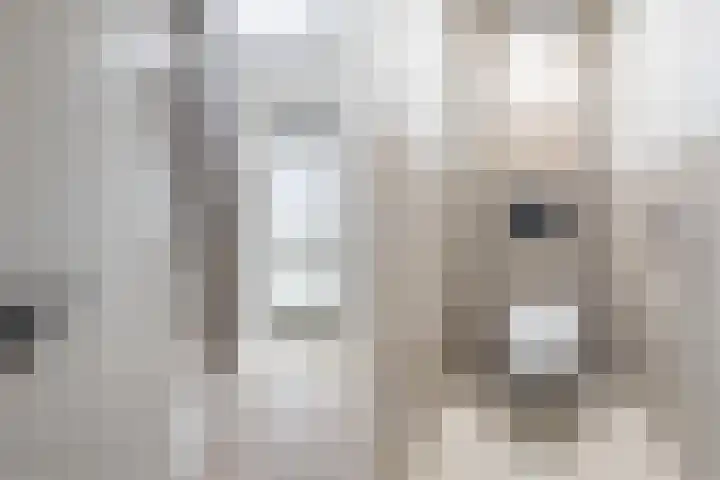 Klumperkamp 33 Epse thumbnail 18