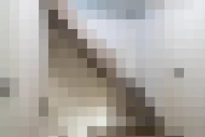 Klumperkamp 33 Epse thumbnail 25