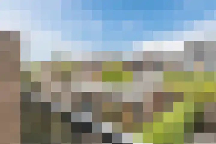 Klumperkamp 33 Epse thumbnail 39