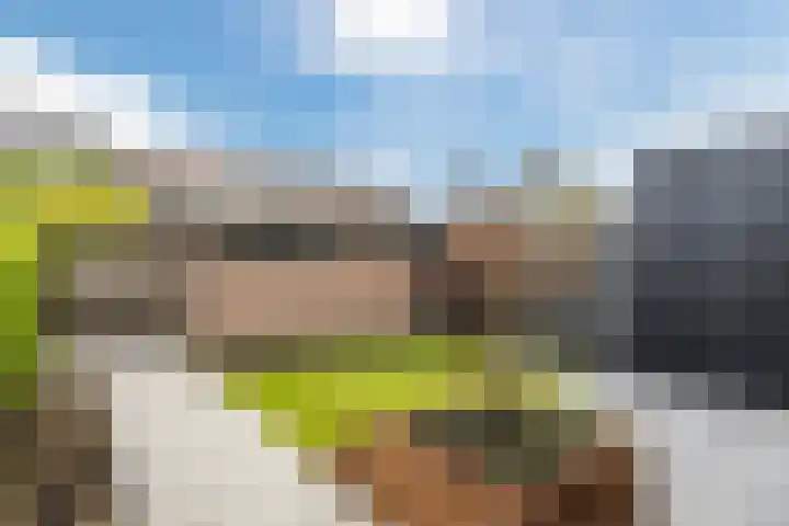 Klumperkamp 33 Epse thumbnail 42