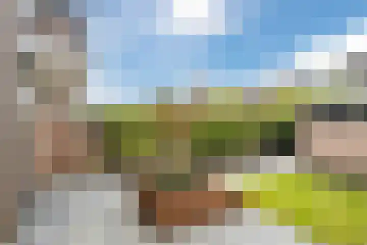 Klumperkamp 33 Epse thumbnail 43