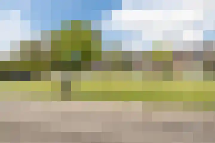 Klumperkamp 33 Epse thumbnail 47