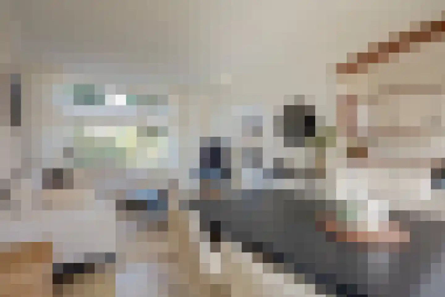Klumperkamp 5 Epse thumbnail 11